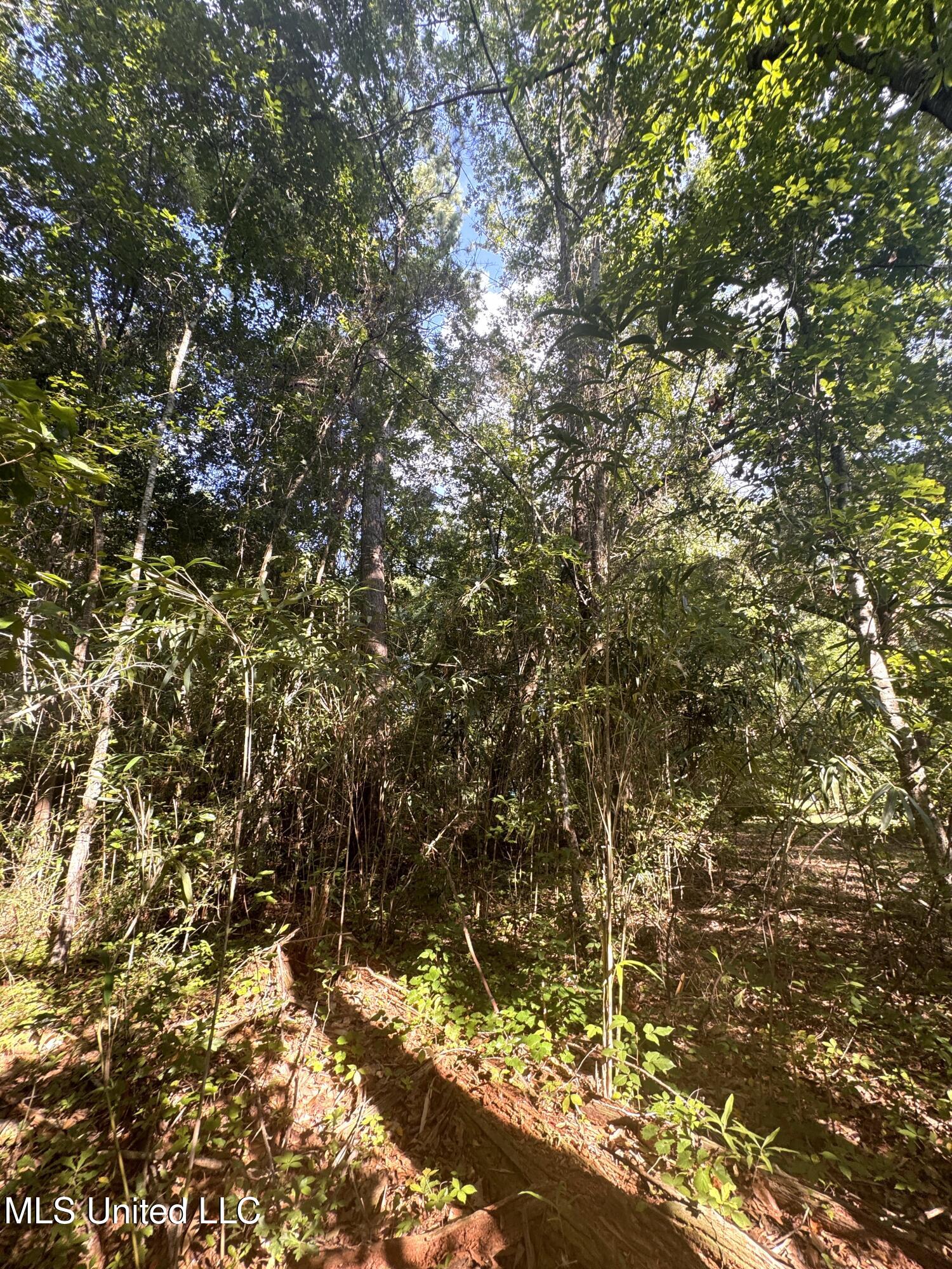 12 Zettel Road Ocean Springs, MS 39564 - Photo 14 of 30 IMG_3319