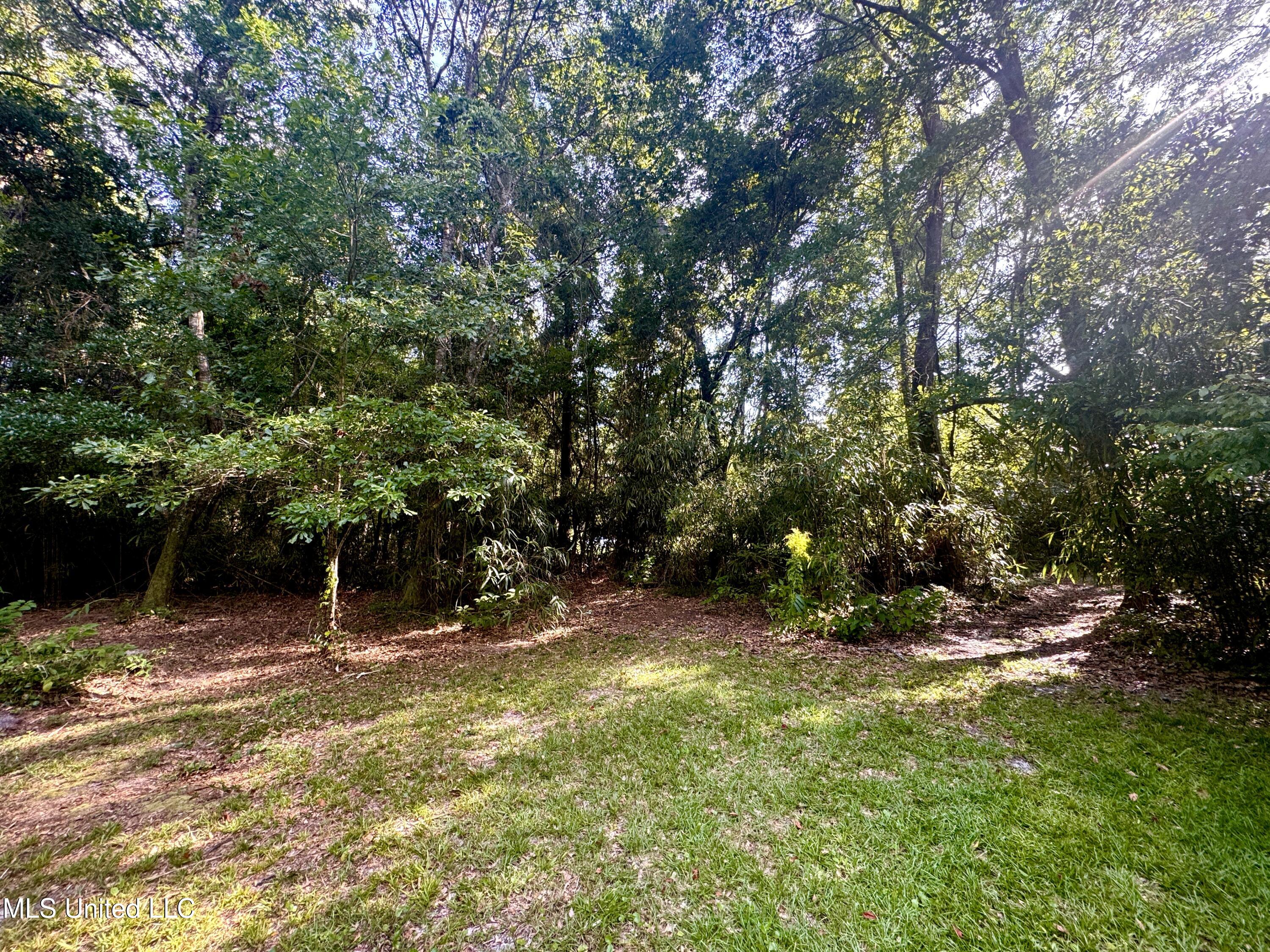 12 Zettel Road Ocean Springs, MS 39564 - Photo 15 of 30 IMG_3317