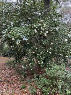 $439,500 | 12 Zettel Road, Ocean Springs, MS 39564