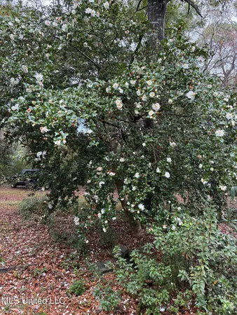 $439,500 | 12 Zettel Road, Ocean Springs, MS 39564