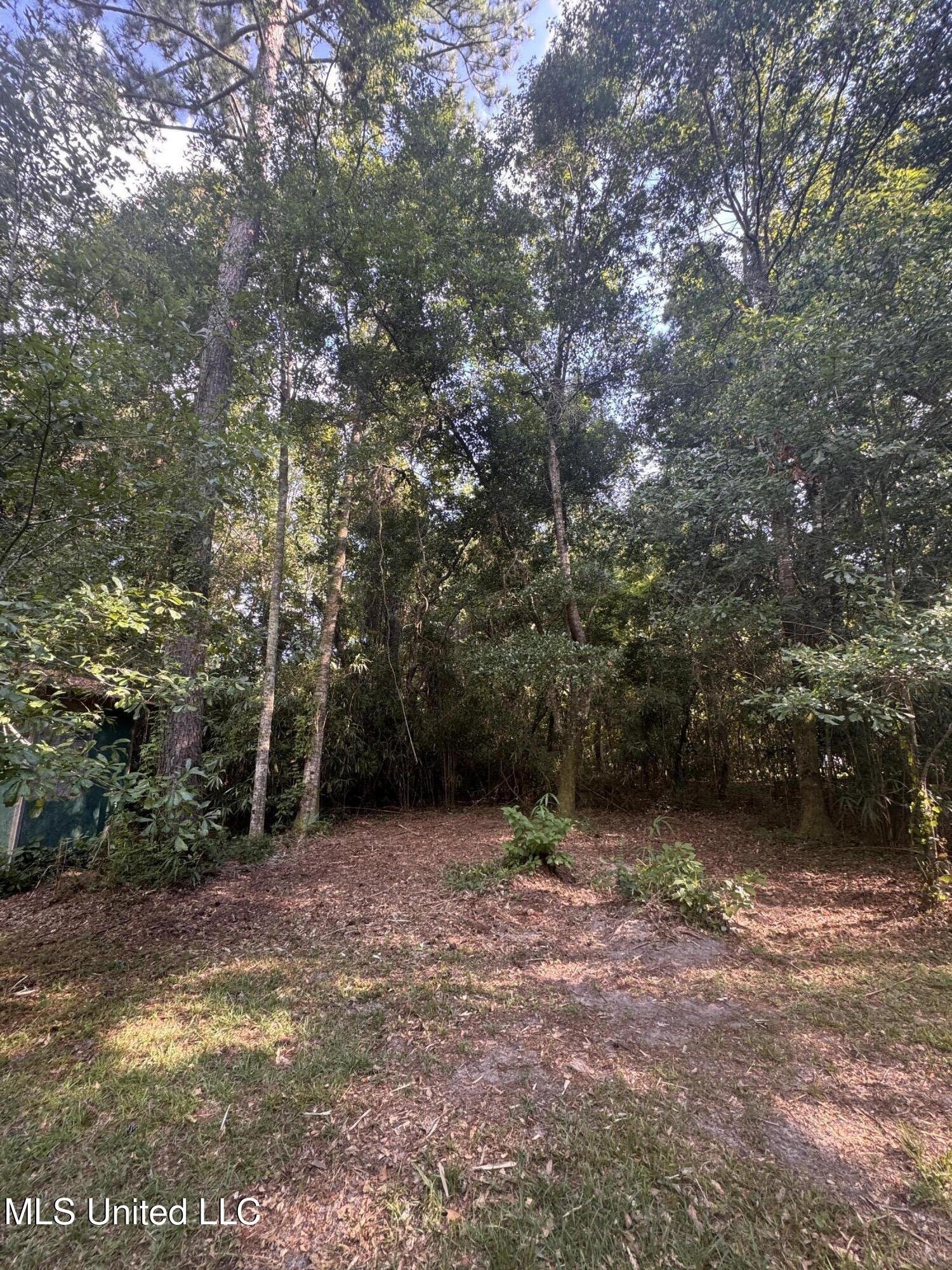 12 Zettel Road Ocean Springs, MS 39564 - Photo 6 of 30 IMG_3315