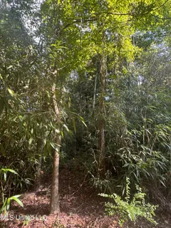 $439,500 | 12 Zettel Road, Ocean Springs, MS 39564