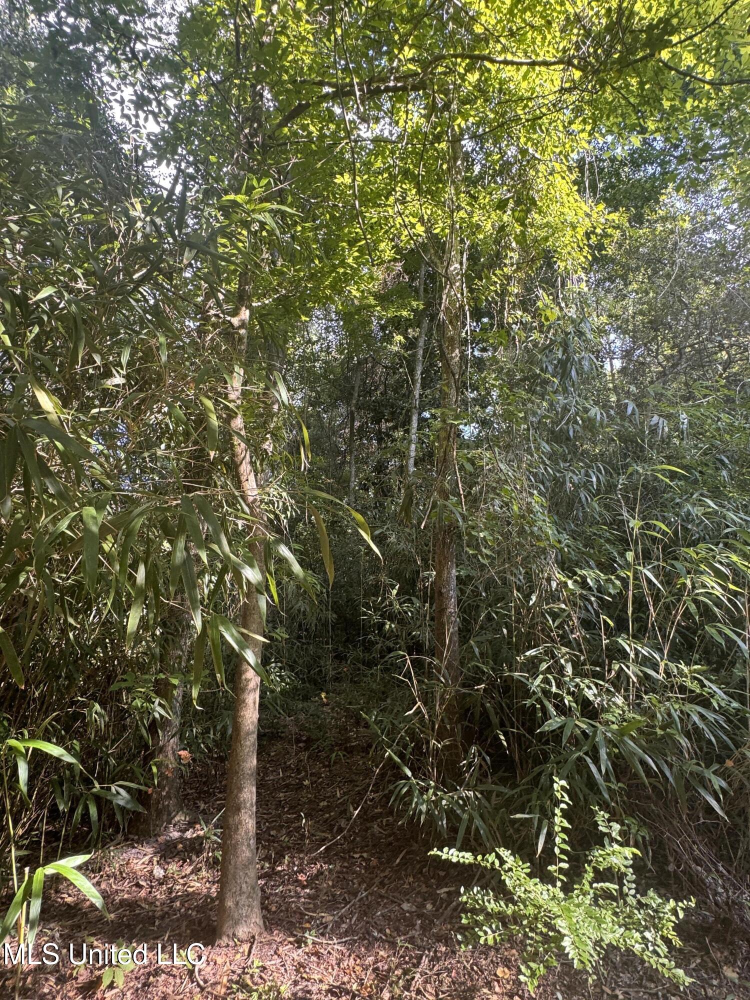 12 Zettel Road Ocean Springs, MS 39564 - Photo 7 of 30 IMG_3311