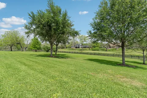 a view of a park with trees and grass