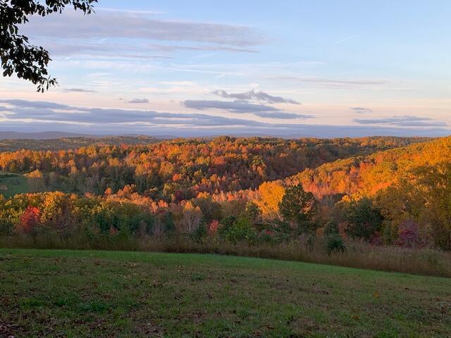 1060 Spruce Drive Spring City, TN 37381 - Photo 4 of 42 home19