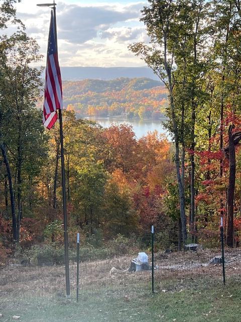 1060 Spruce Drive Spring City, TN 37381 - Photo 41 of 42 home24