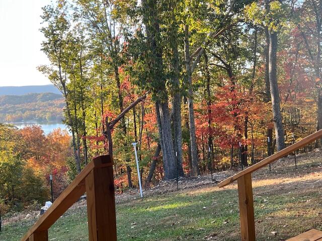 1060 Spruce Drive Spring City, TN 37381 - Photo 42 of 42 home25