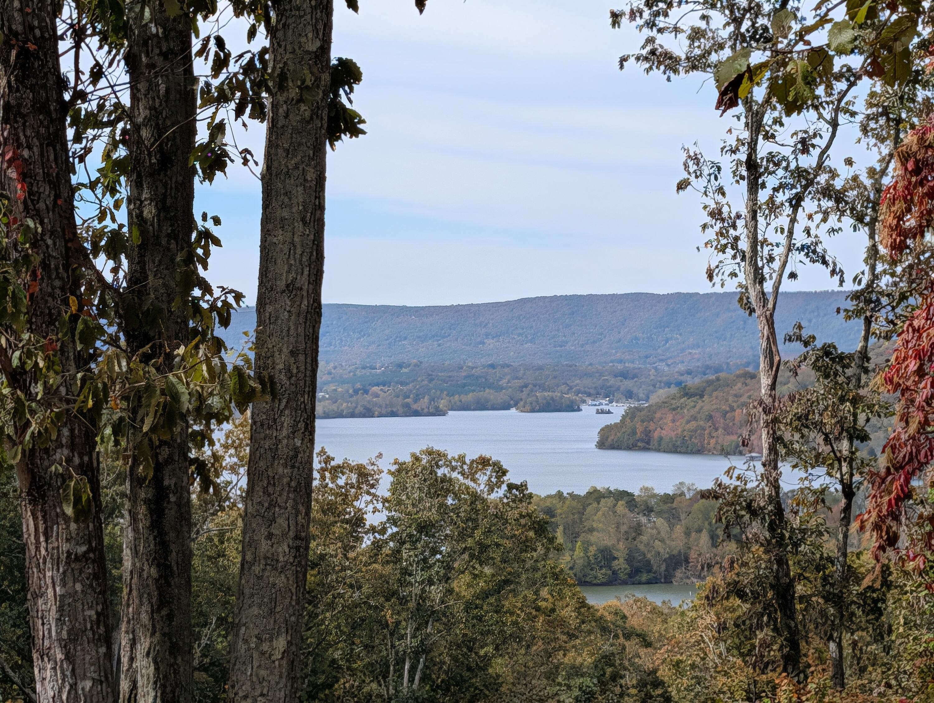 1060 Spruce Drive Spring City, TN 37381 - Photo 6 of 42 PXL_20251024_163937909