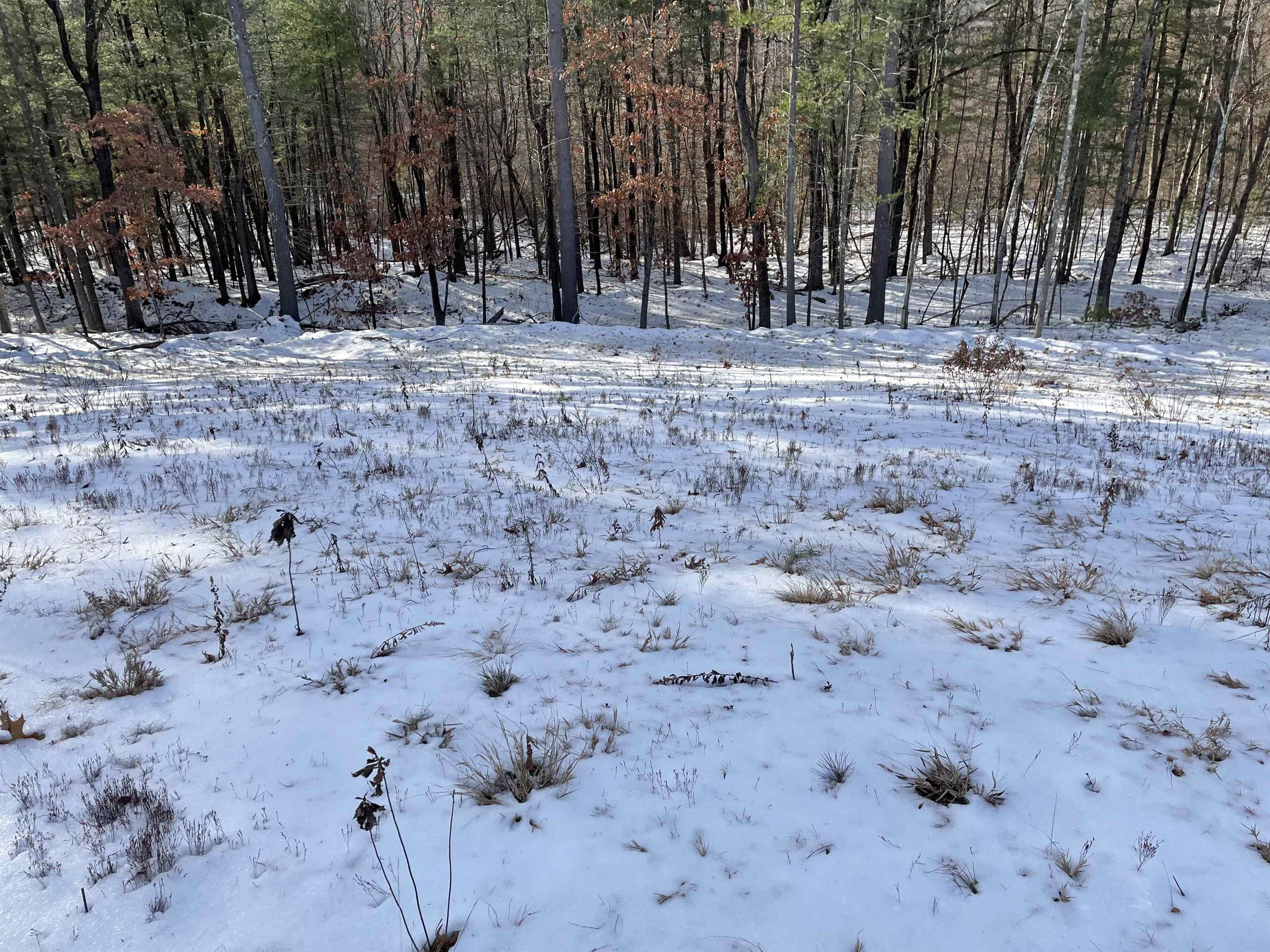 25 Newbury Road Pelham, NH 03076 - Photo 3 of 4