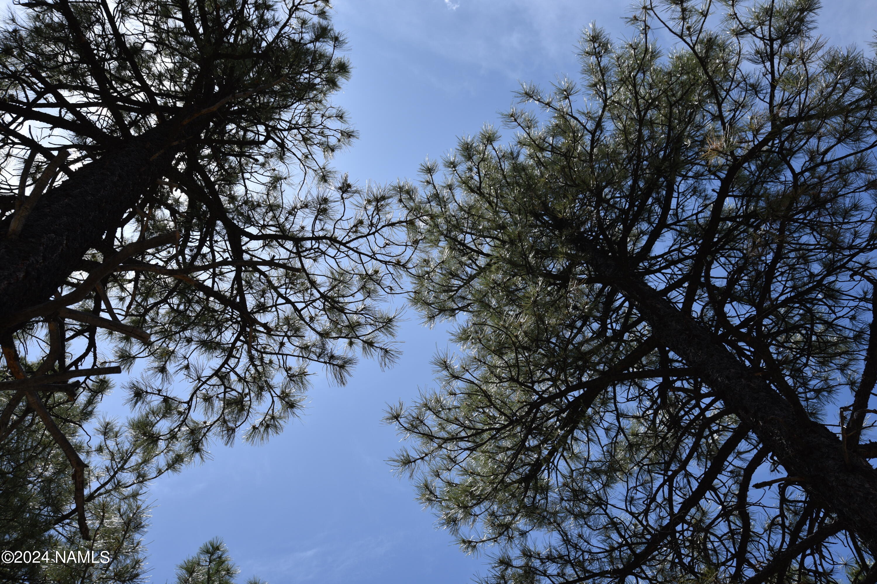 1663 Canyon View Loop, Unit 41 Williams, AZ 86046 - Photo 12 of 43 DSC_2542