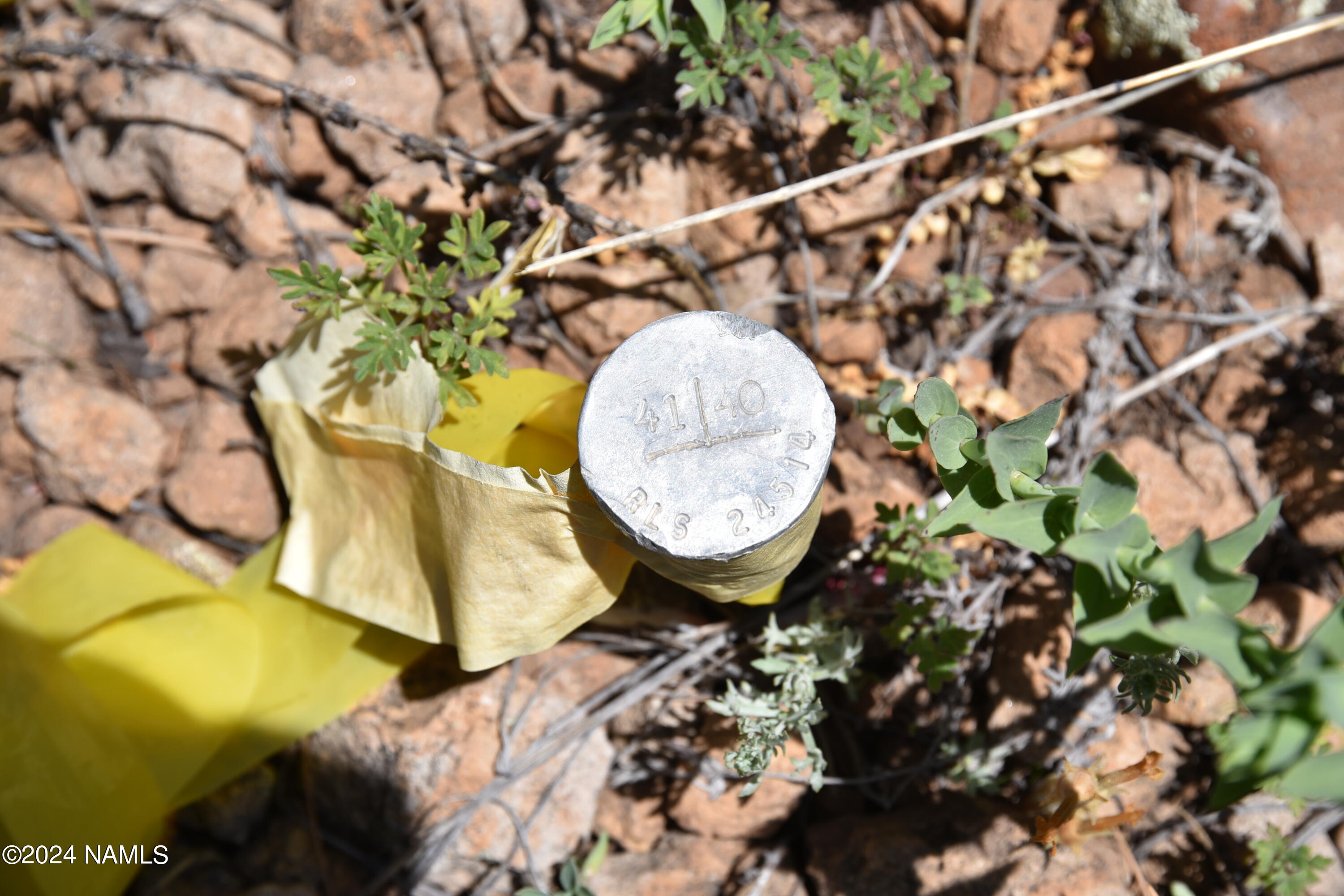 1663 Canyon View Loop, Unit 41 Williams, AZ 86046 - Photo 13 of 43 DSC_2536