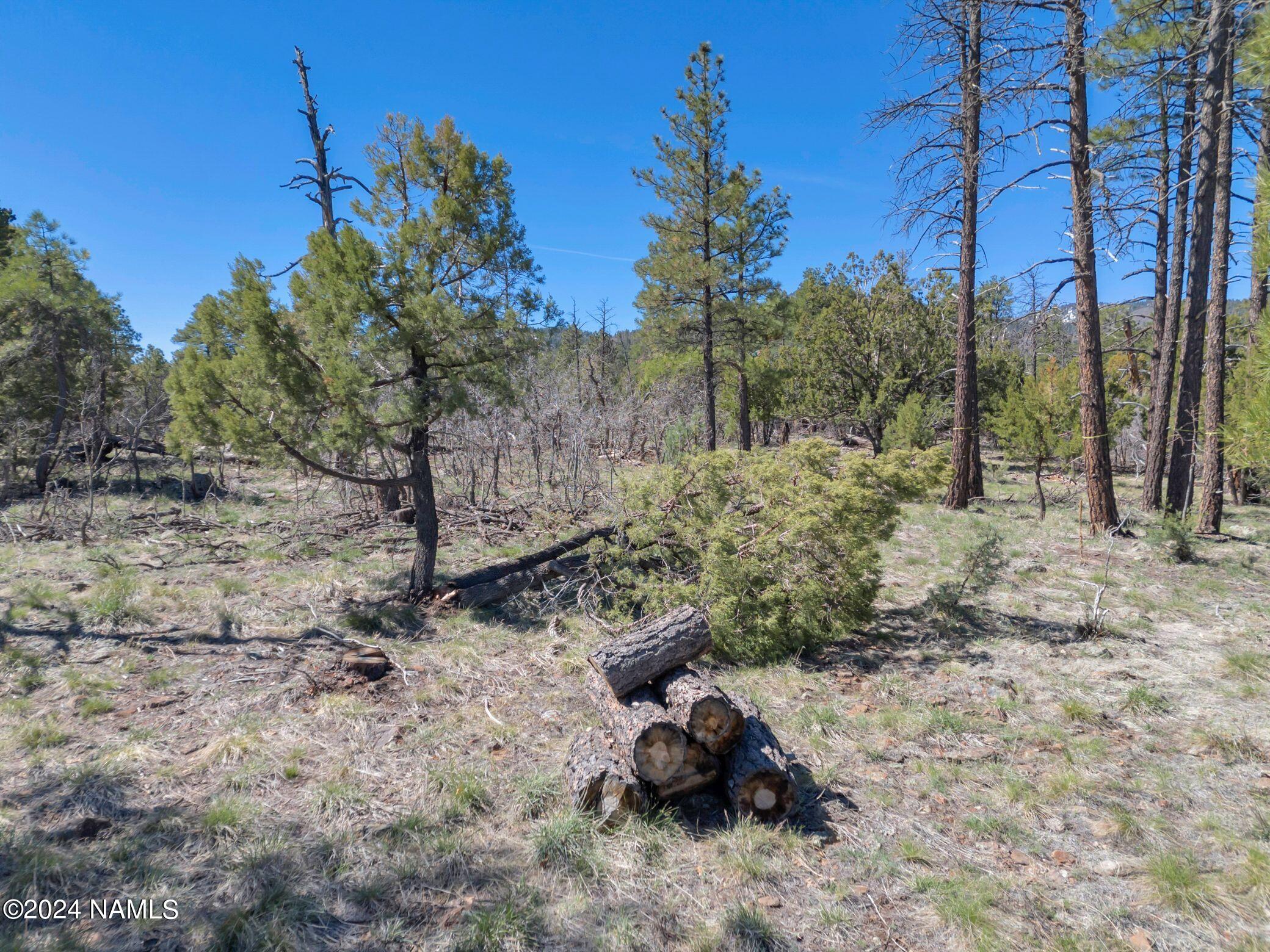 1663 Canyon View Loop, Unit 41 Williams, AZ 86046 - Photo 25 of 43 13