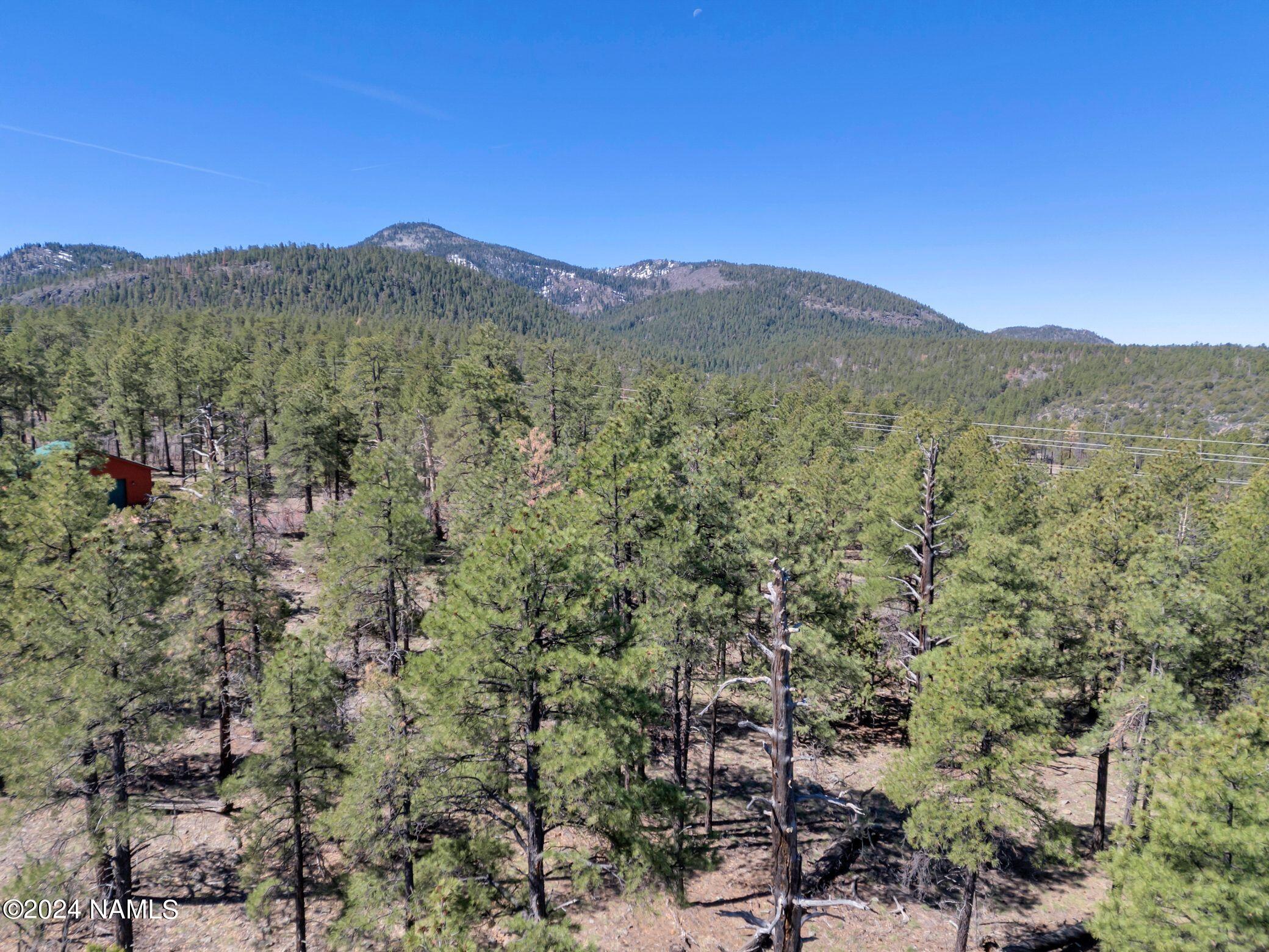 1663 Canyon View Loop, Unit 41 Williams, AZ 86046 - Photo 29 of 43 17