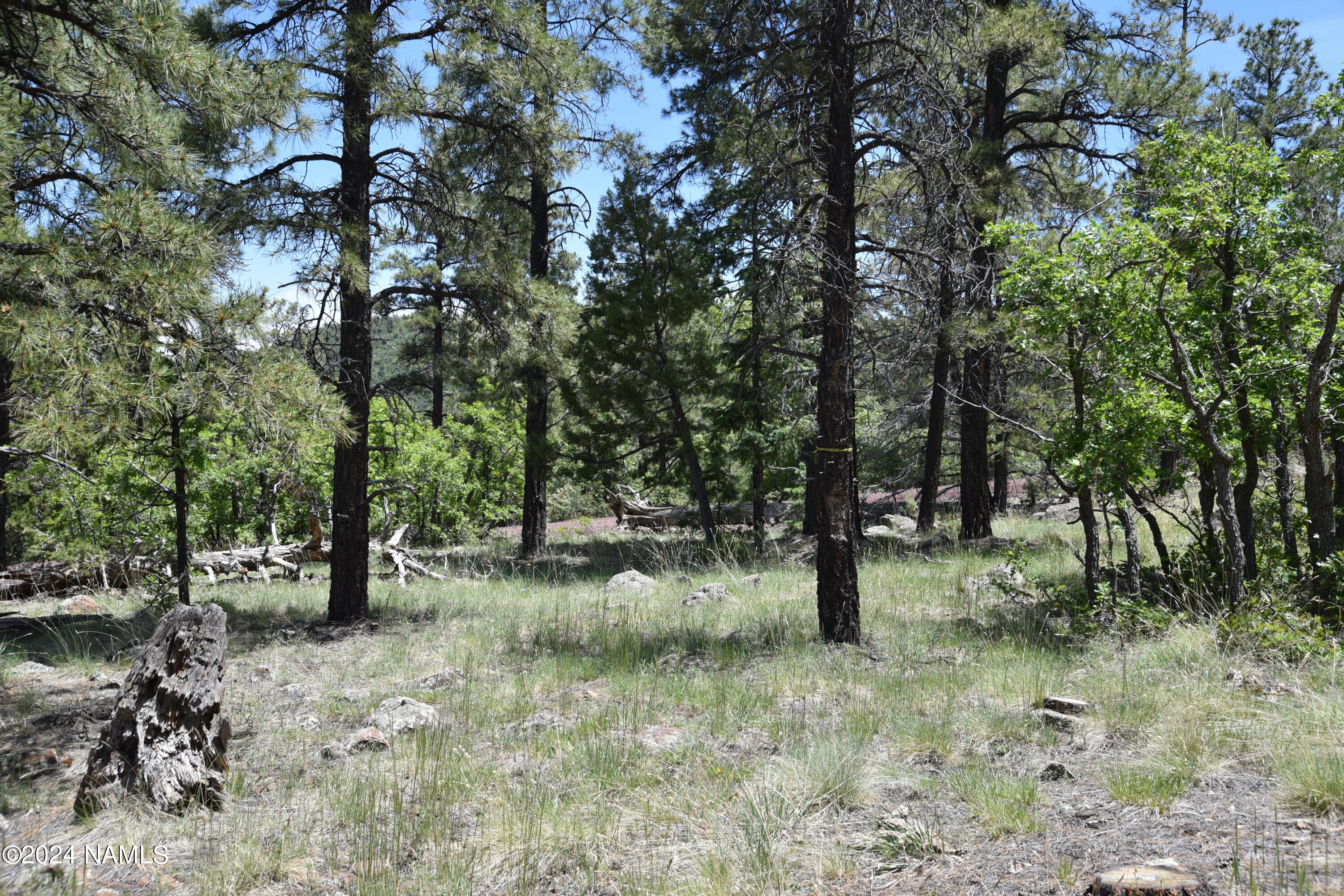 1663 Canyon View Loop, Unit 41 Williams, AZ 86046 - Photo 4 of 43 DSC_2539