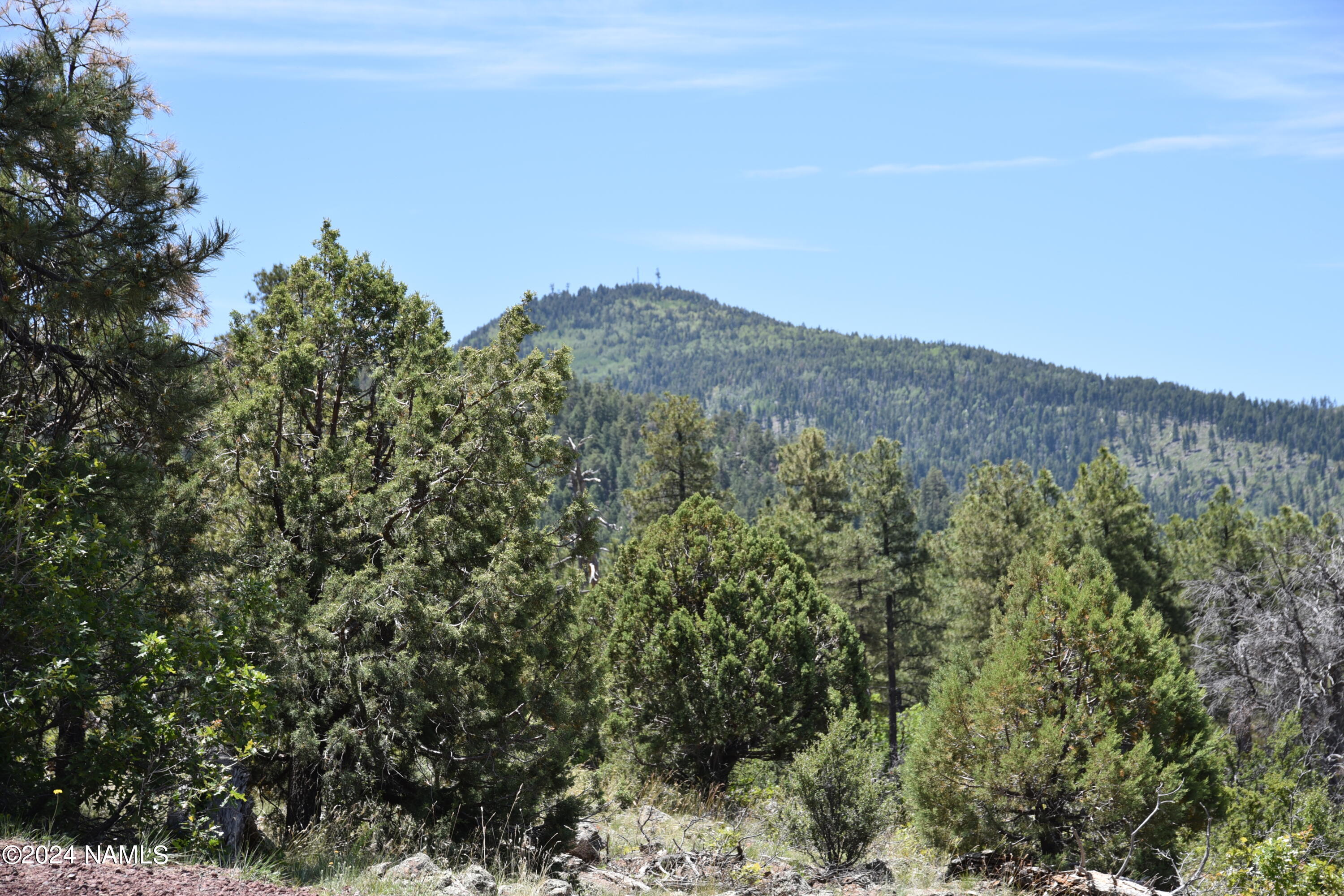 1663 Canyon View Loop, Unit 41 Williams, AZ 86046 - Photo 6 of 43 DSC_2535