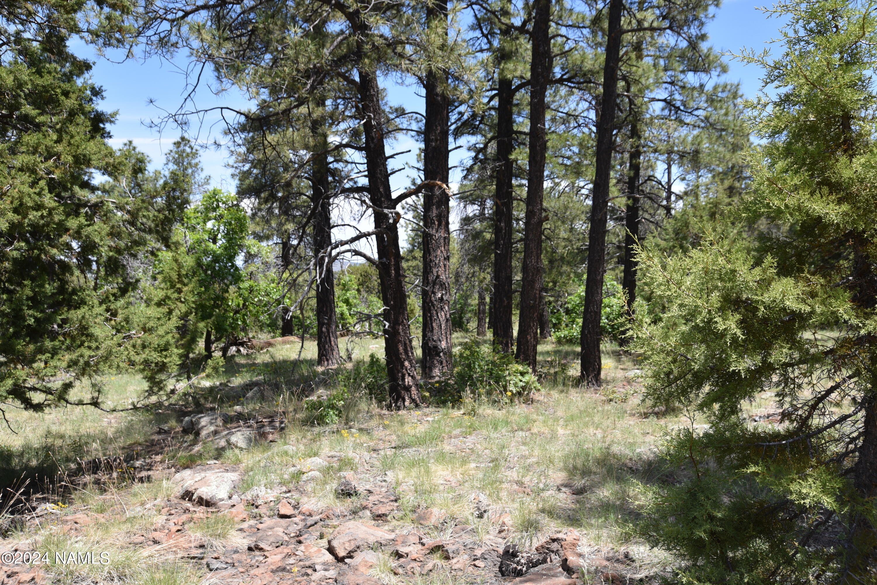 1663 Canyon View Loop, Unit 41 Williams, AZ 86046 - Photo 7 of 43 DSC_2538