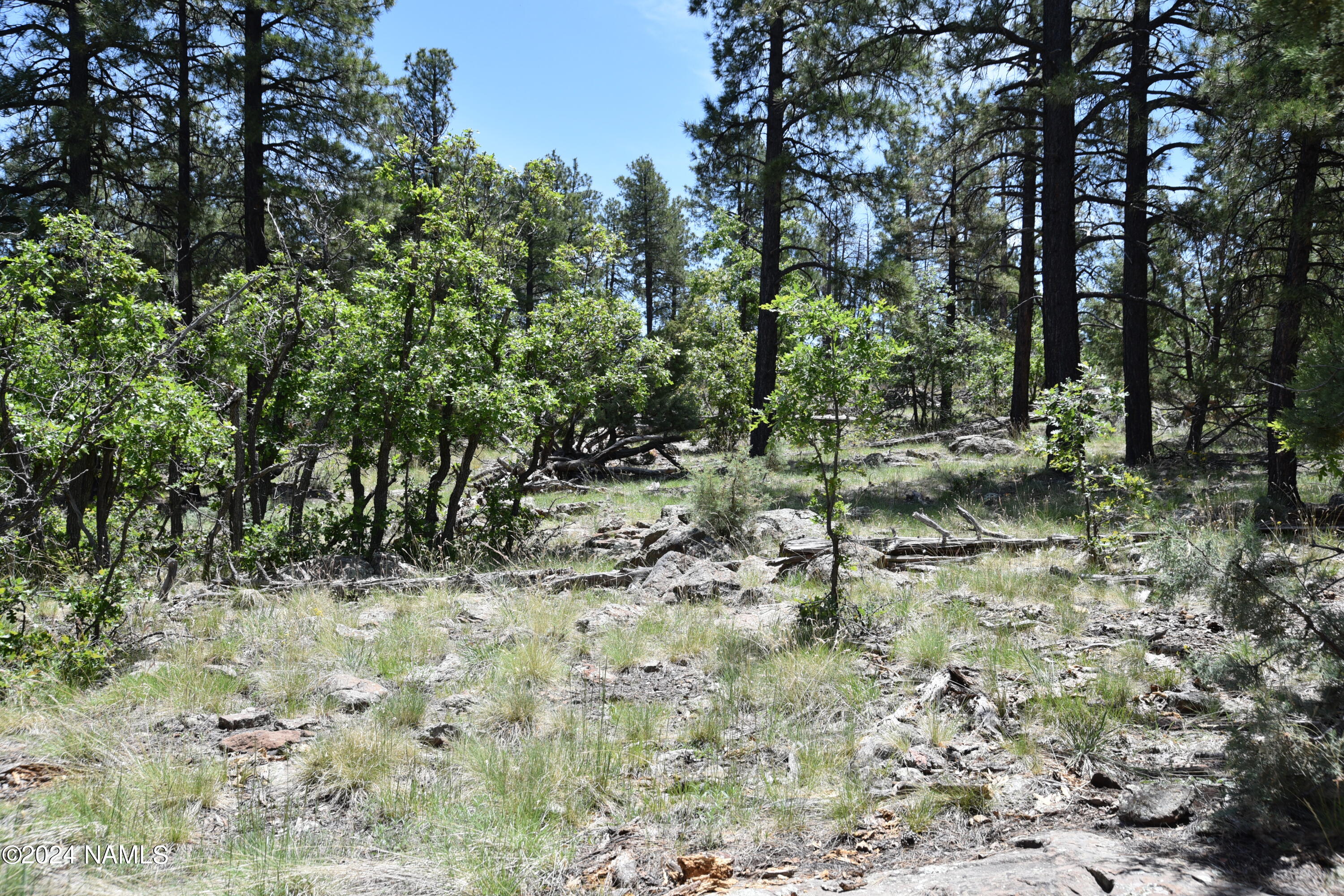1663 Canyon View Loop, Unit 41 Williams, AZ 86046 - Photo 8 of 43 DSC_2540