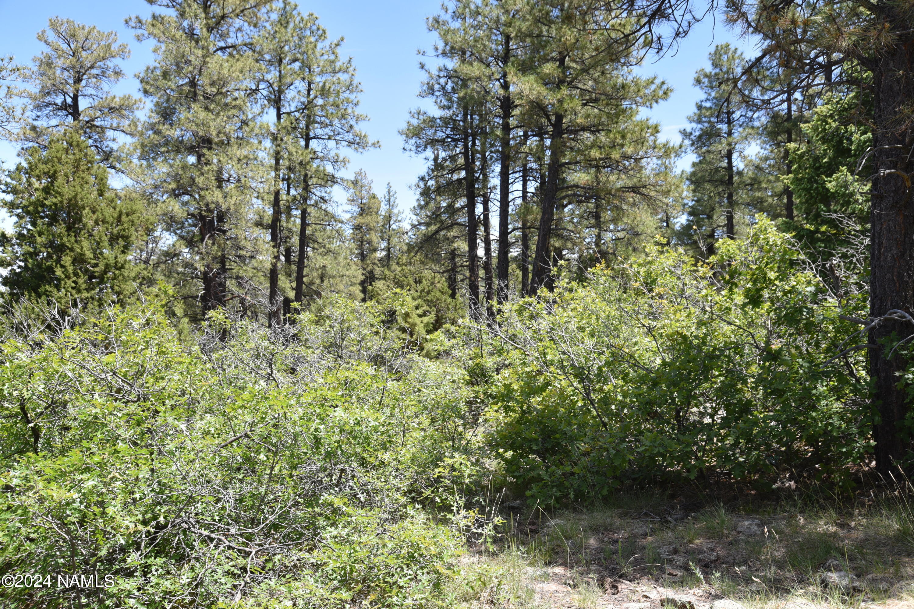 1663 Canyon View Loop, Unit 41 Williams, AZ 86046 - Photo 9 of 43 DSC_2537