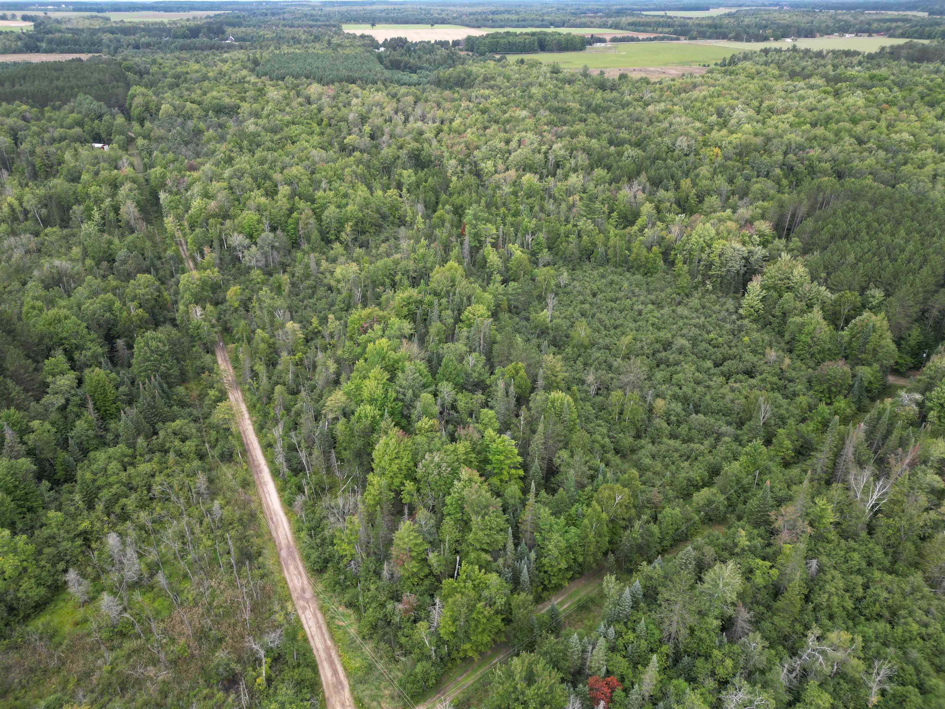 10.11-acres Golden Road Southeast Kalkaska, MI 49646 - Photo 17 of 17