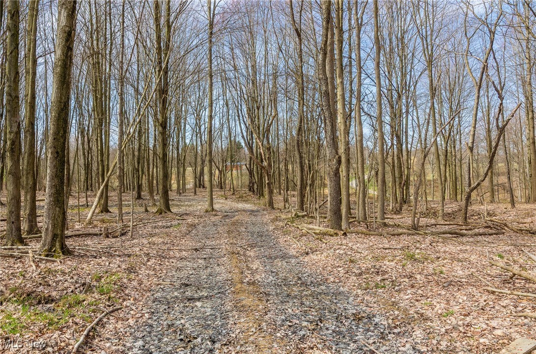 State Road Kingsville, OH 44048 - Photo 25 of 38 View of street featuring a wooded view