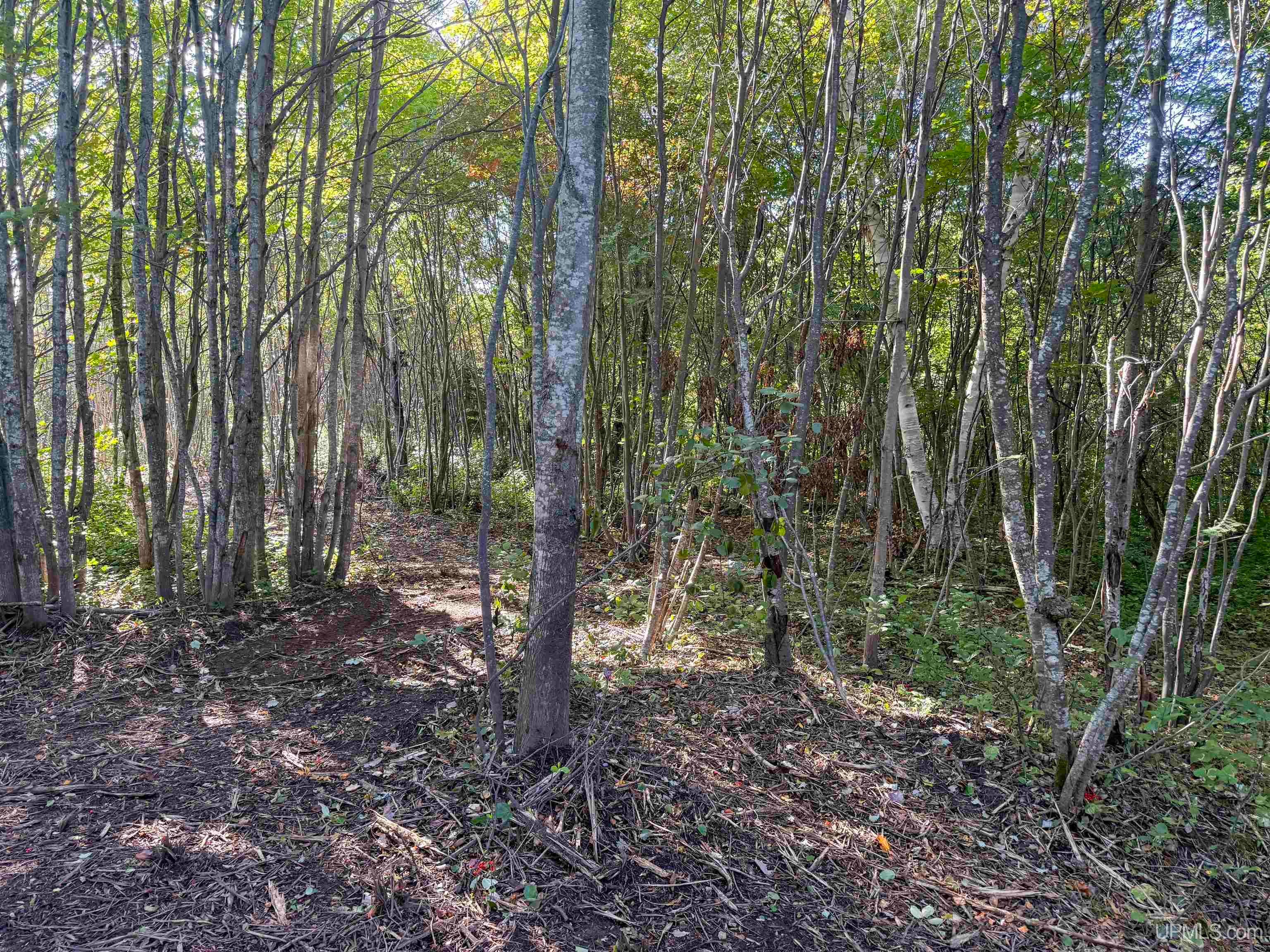 Tbd Palosaari Road Calumet, MI 49913 - Photo 7 of 23 Gallery Image 7