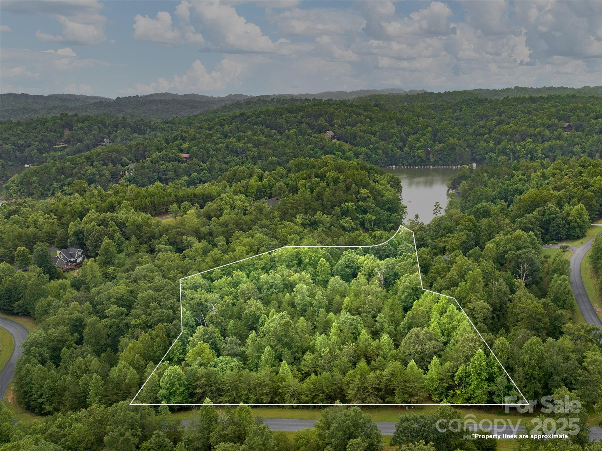 a view of a lush green field