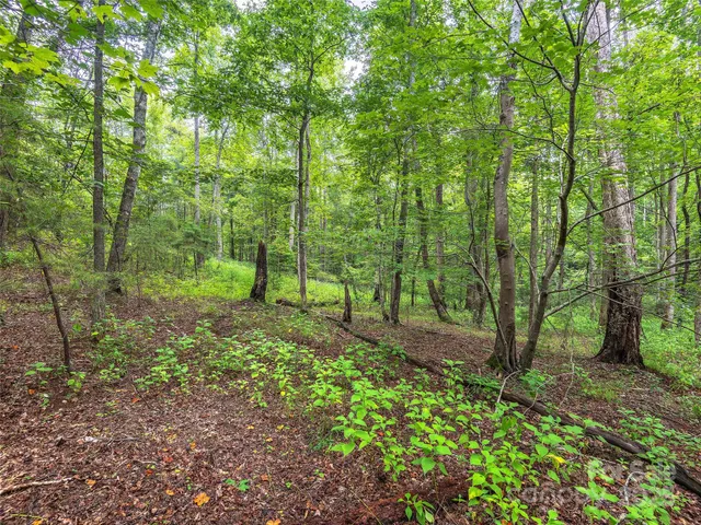 a view of outdoor space and green space