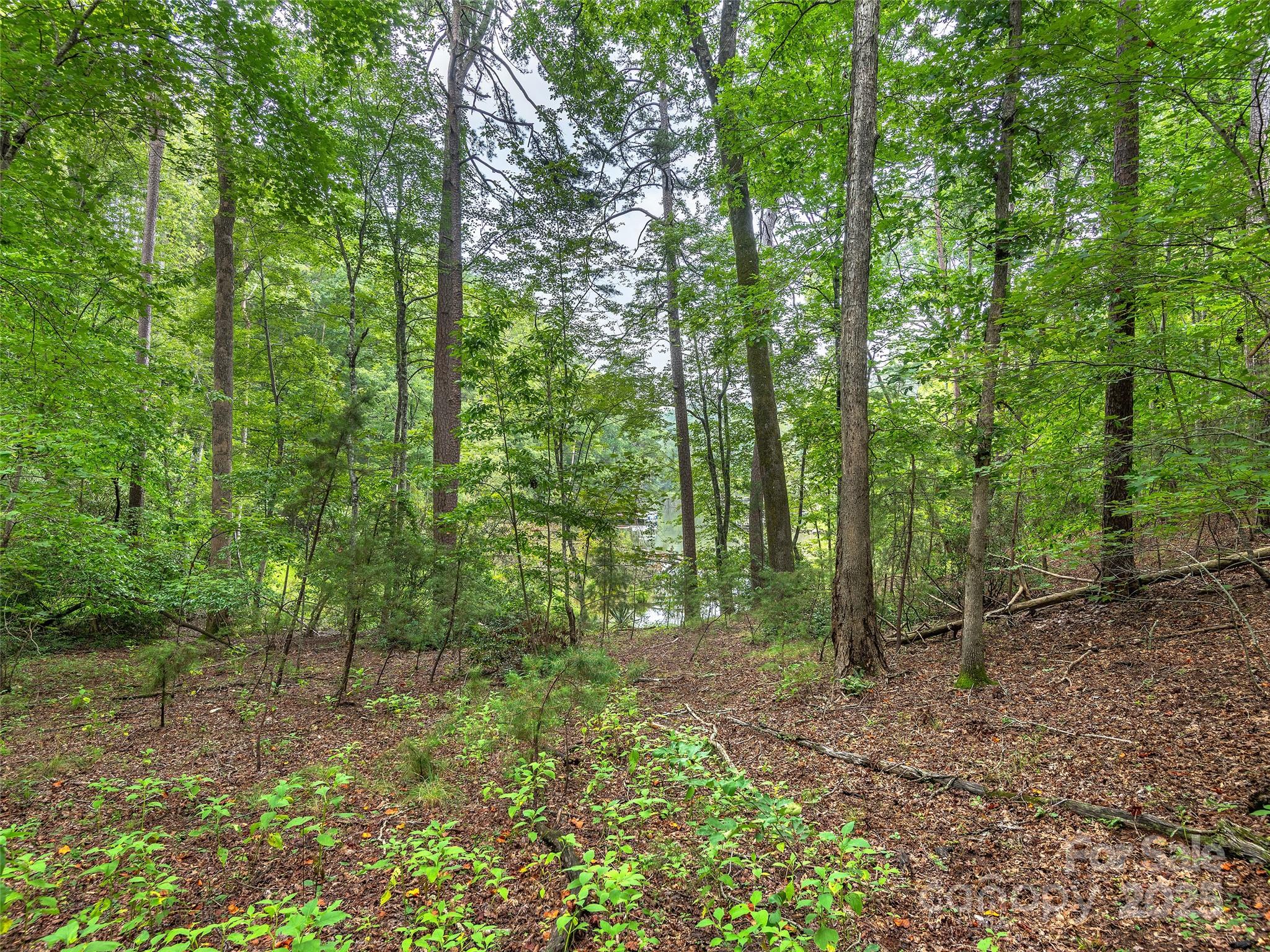 Lot #28 Parkway North Rd Mill Spring, Unit 28 Mill Spring, NC 28756 - Photo 14 of 23 a view of outdoor space and green space