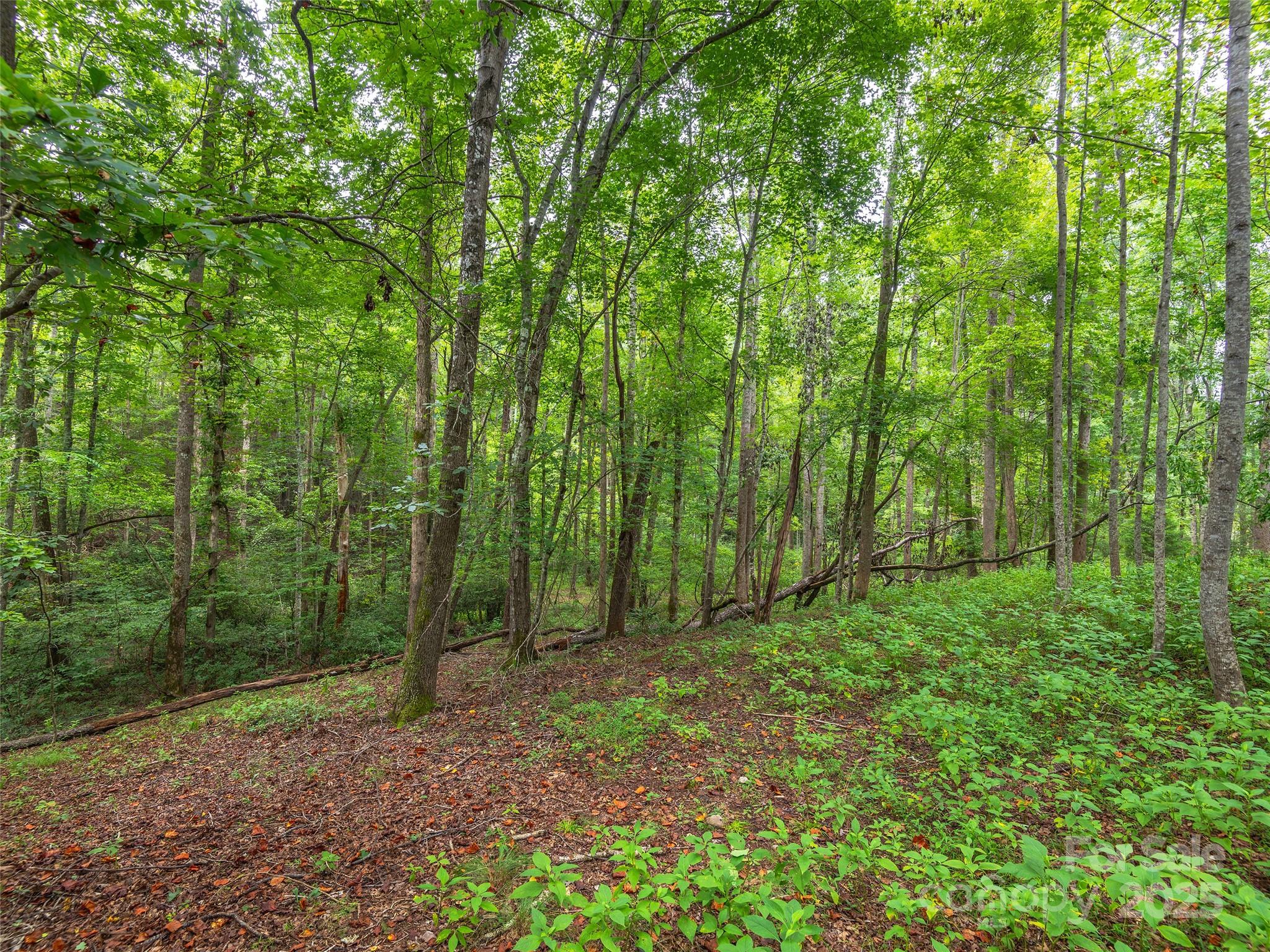 Lot #28 Parkway North Rd Mill Spring, Unit 28 Mill Spring, NC 28756 - Photo 16 of 23 a view of outdoor space and green space