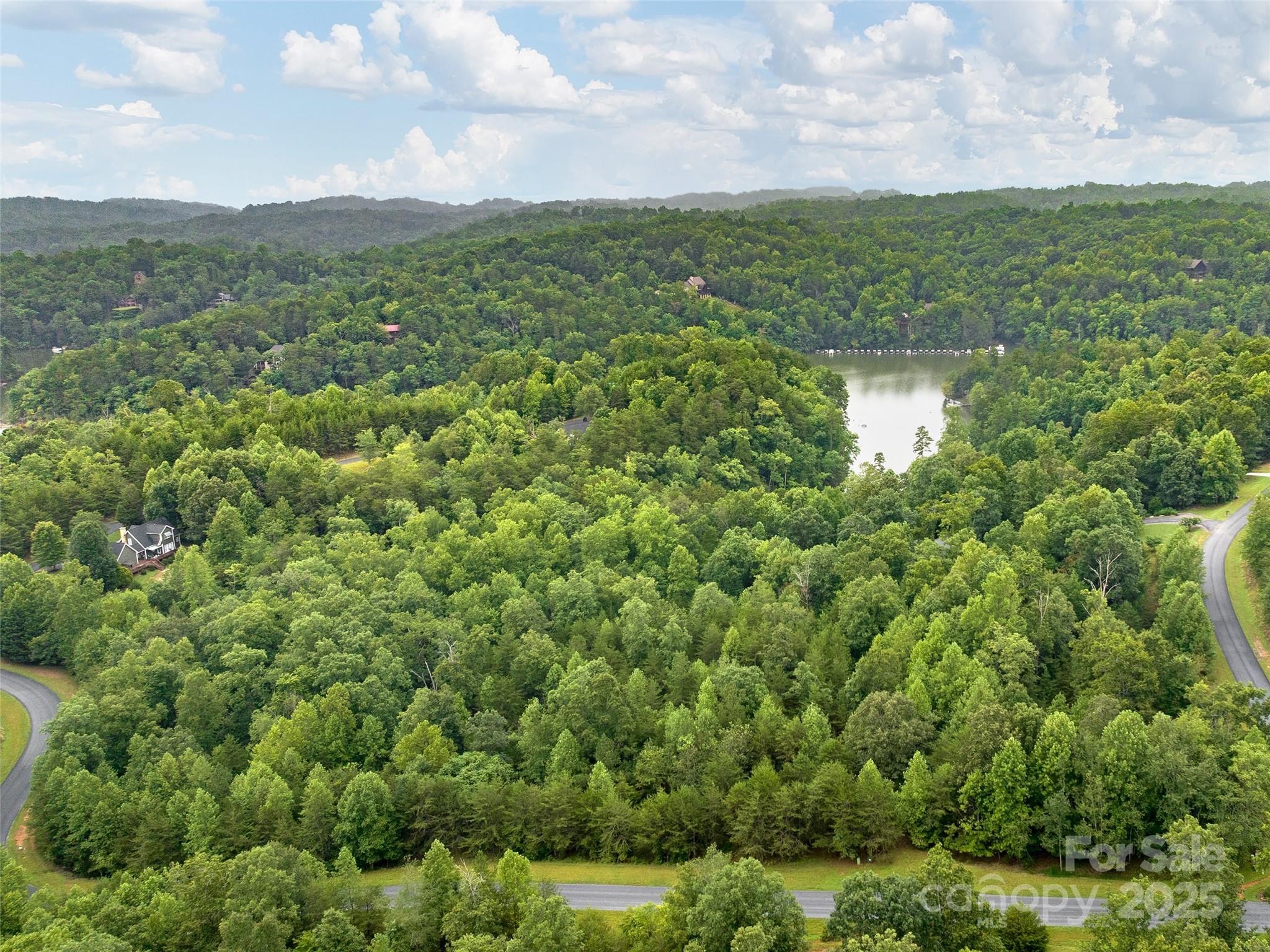 Lot #28 Parkway North Rd Mill Spring, Unit 28 Mill Spring, NC 28756 - Photo 2 of 23 a view of a lake with a city