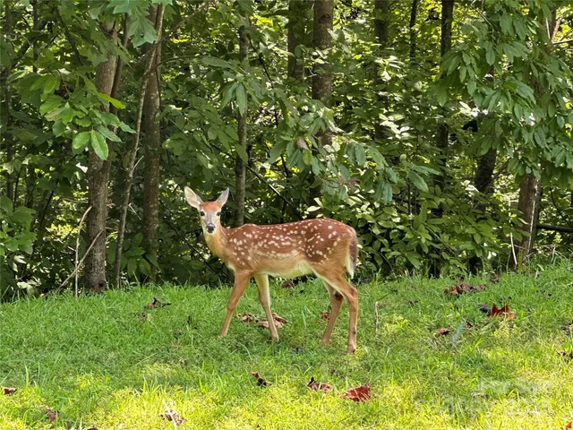 a garden view with a seating space