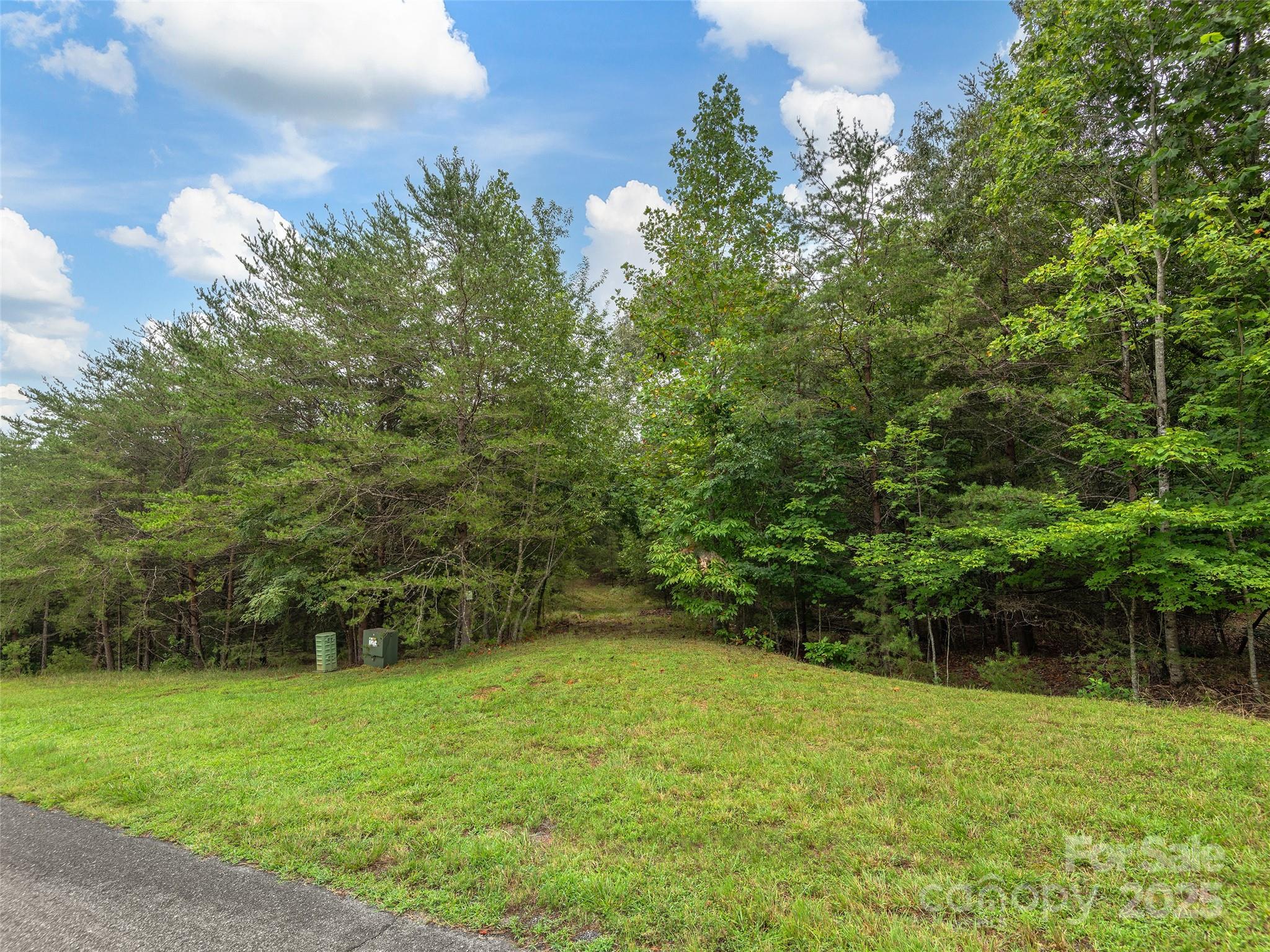 Lot #28 Parkway North Rd Mill Spring, Unit 28 Mill Spring, NC 28756 - Photo 3 of 23 a view of a backyard