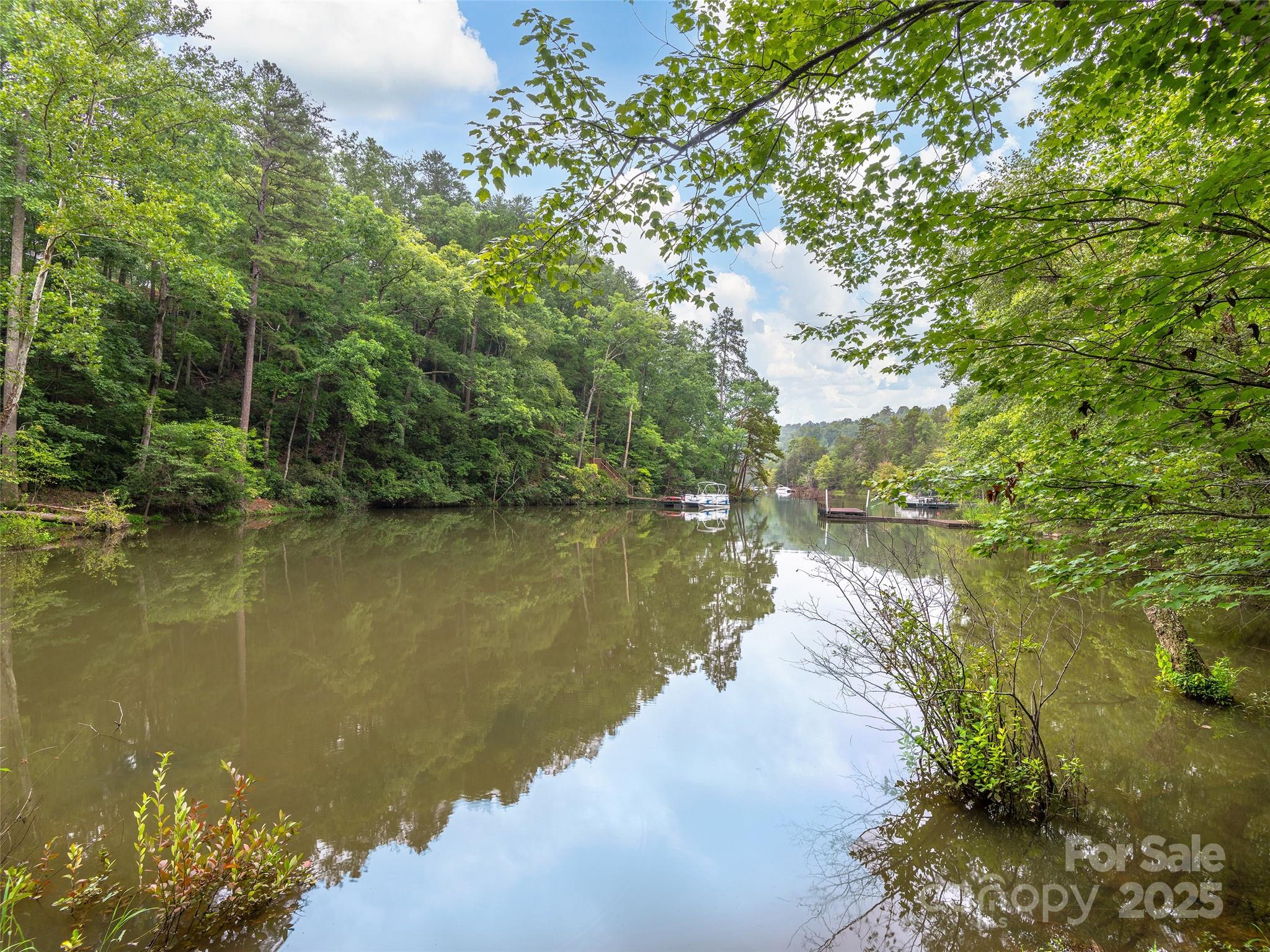 Lot #28 Parkway North Rd Mill Spring, Unit 28 Mill Spring, NC 28756 - Photo 7 of 23 a view of a lake view