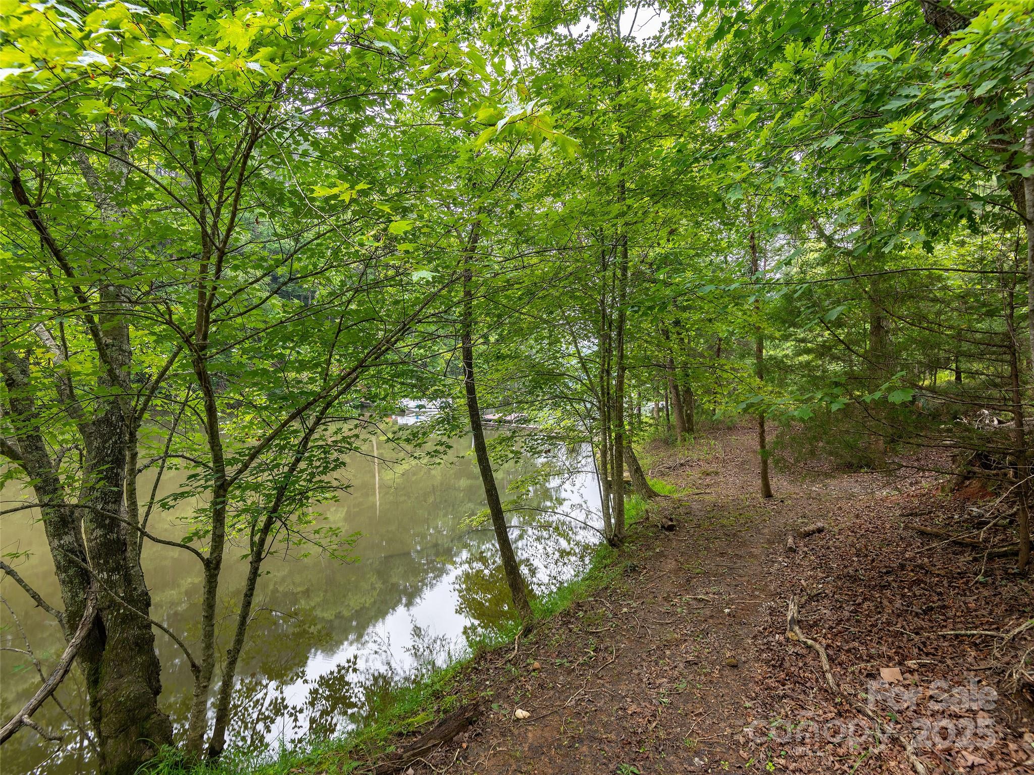 Lot #28 Parkway North Rd Mill Spring, Unit 28 Mill Spring, NC 28756 - Photo 8 of 23 a backyard of a house with lots of green space