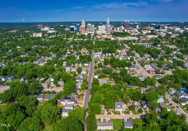 a view of a tree in a yard