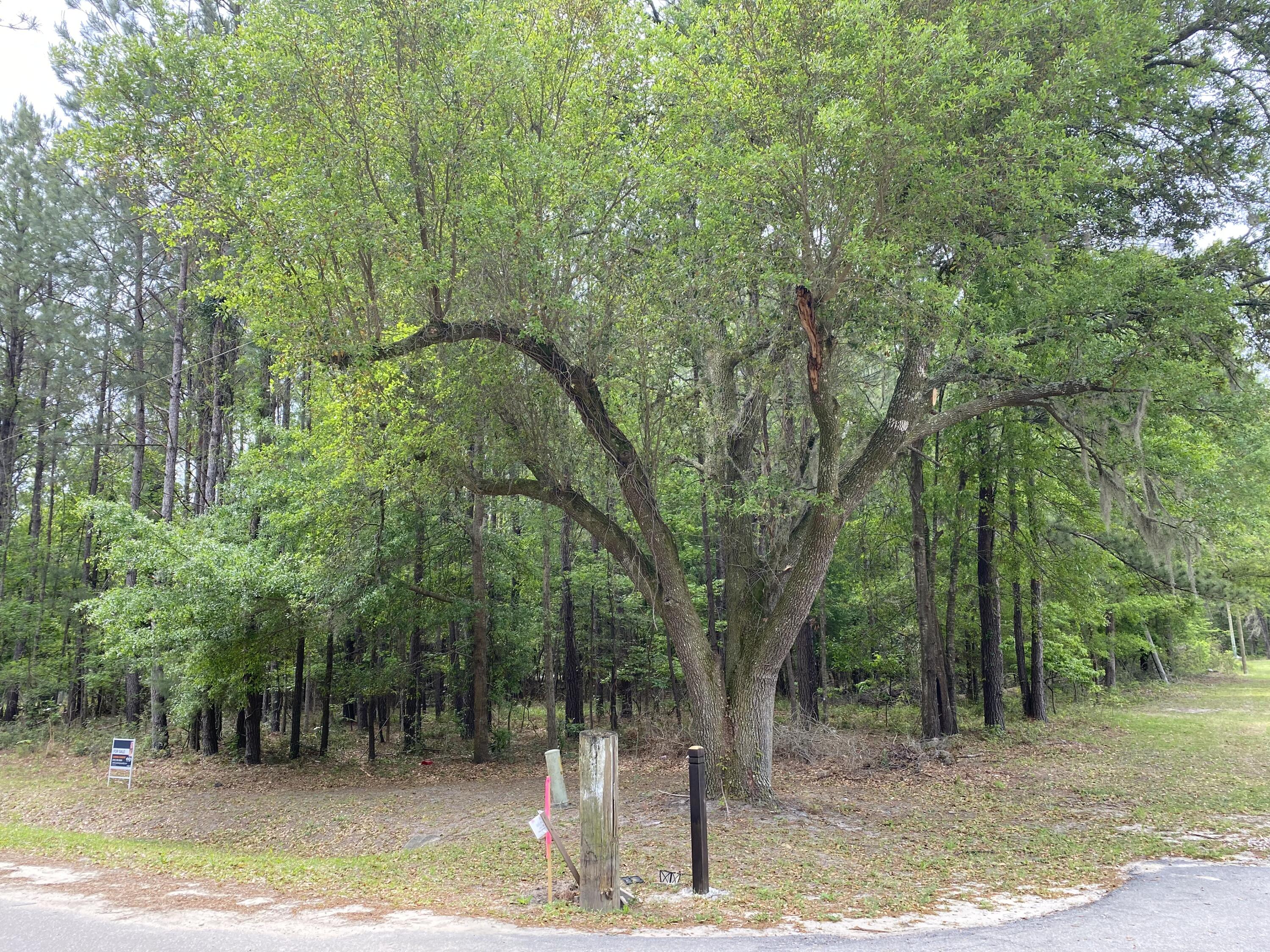 43 Mammy Grant Road Bluffton, SC 29910 - Photo 1 of 2 43 Mammy Grant Road