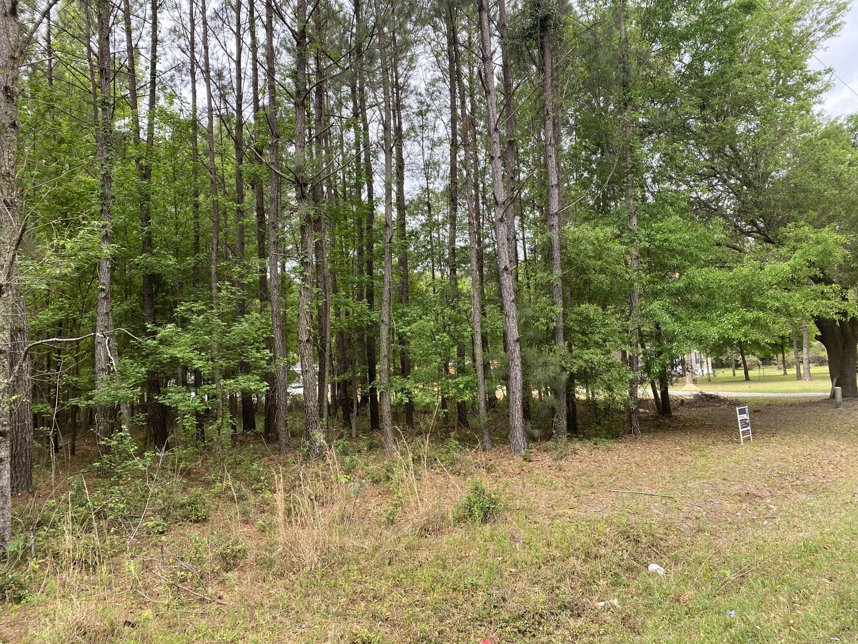 43 Mammy Grant Road Bluffton, SC 29910 - Photo 2 of 2 43 Mammy Grant Road