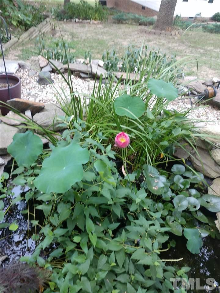 2425 Canvasback Court Raleigh, NC 27616 - Photo 3 of 20 a view of a garden with a tree