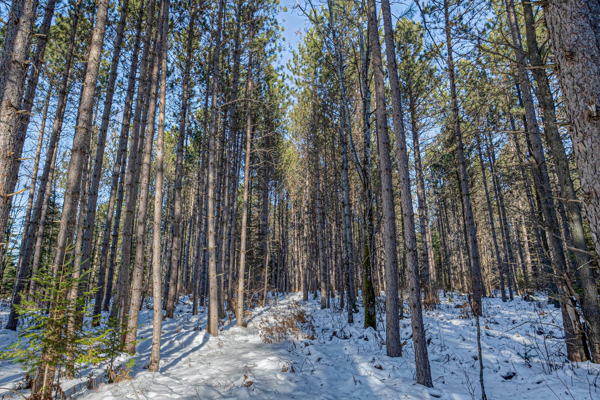 Off Deerskin Road, Unit LOT 4 Eagle River, WI 54521 - Photo 10 of 23 Gallery Image 10
