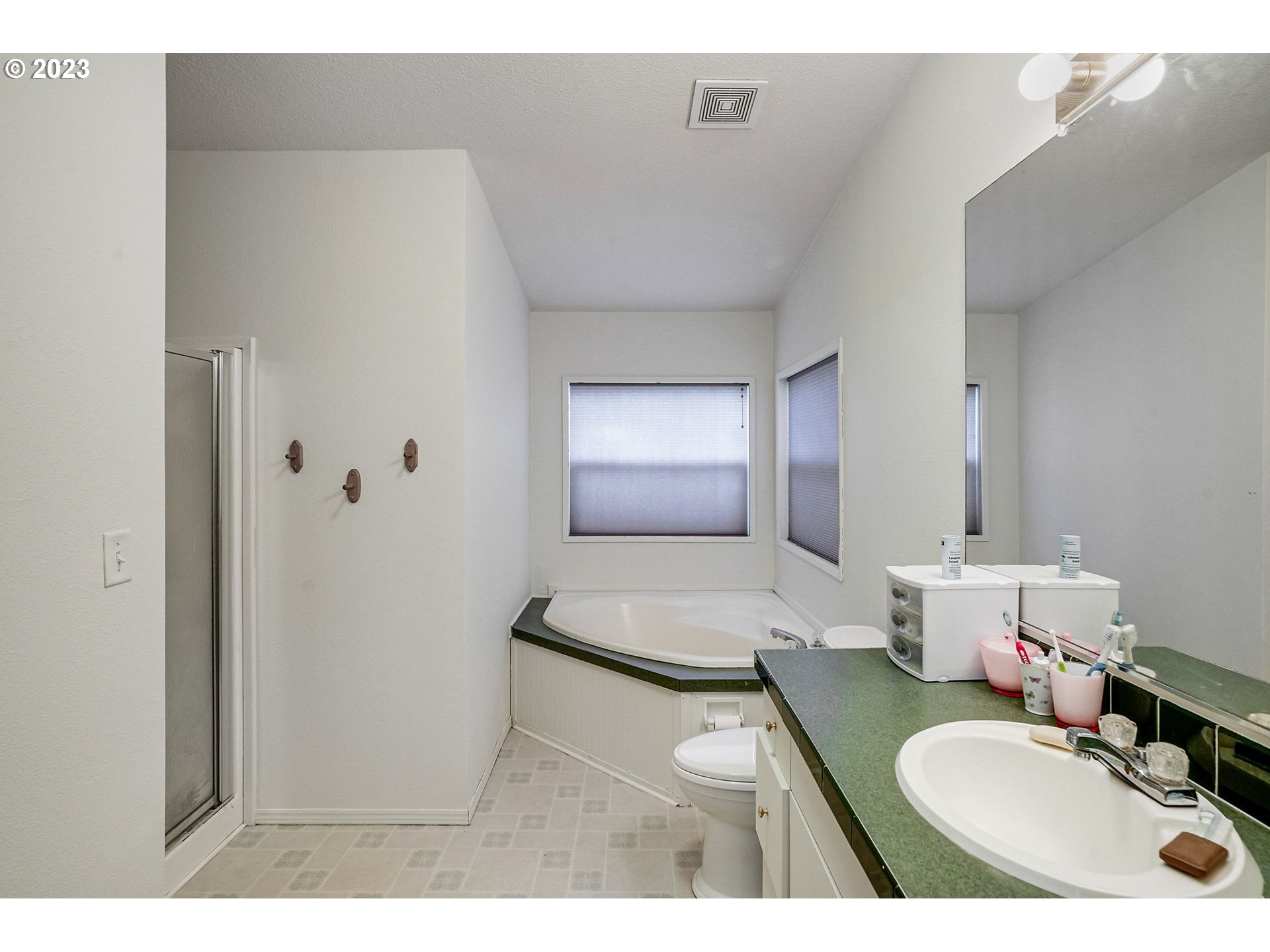 1015 Oak Street, Unit 100 Silverton, OR 97381 - Photo 17 of 30 a bathroom with a sink toilet a mirror and bathtub
