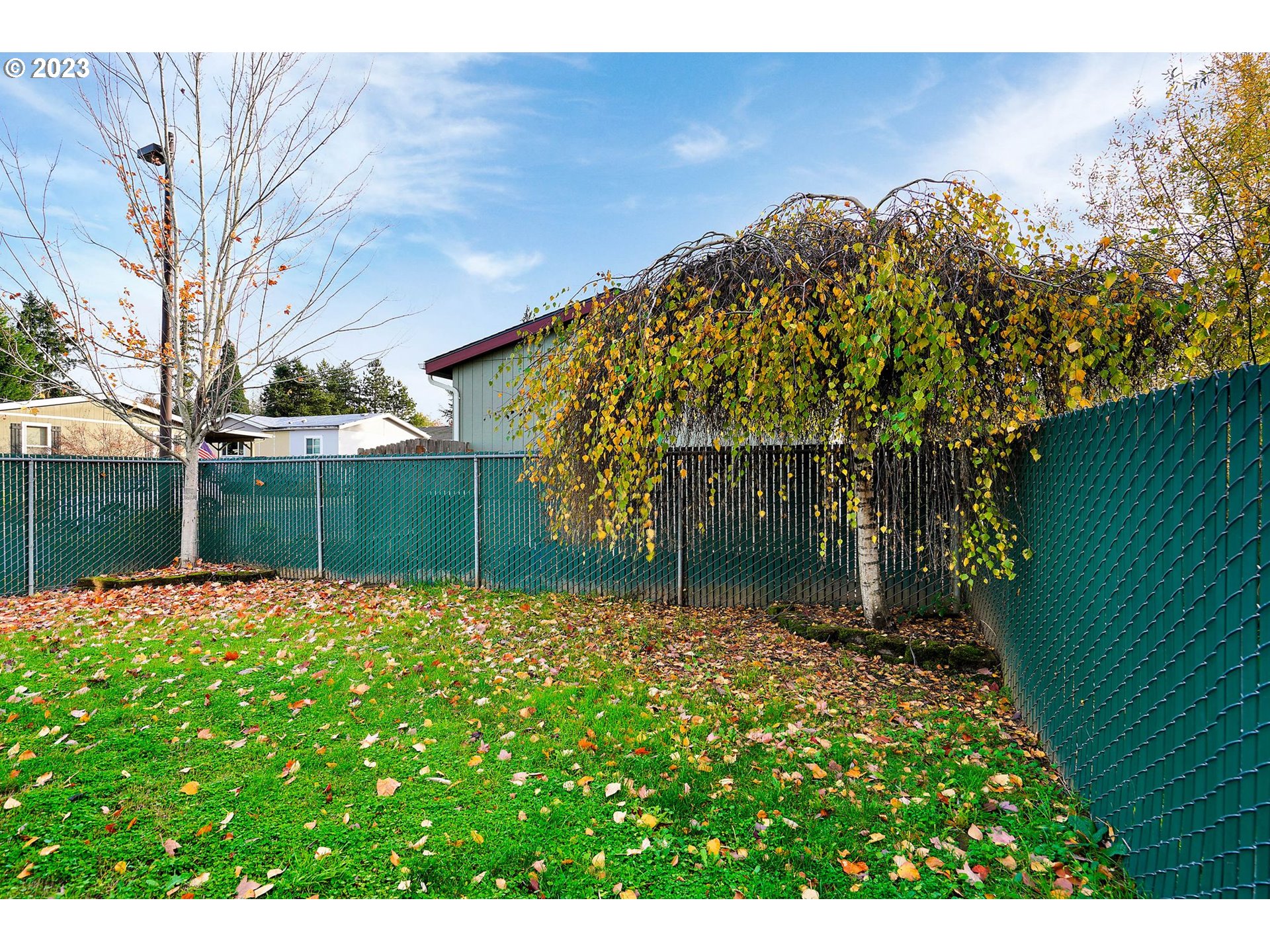 1015 Oak Street, Unit 100 Silverton, OR 97381 - Photo 27 of 30 a backyard of a house with lots of green space