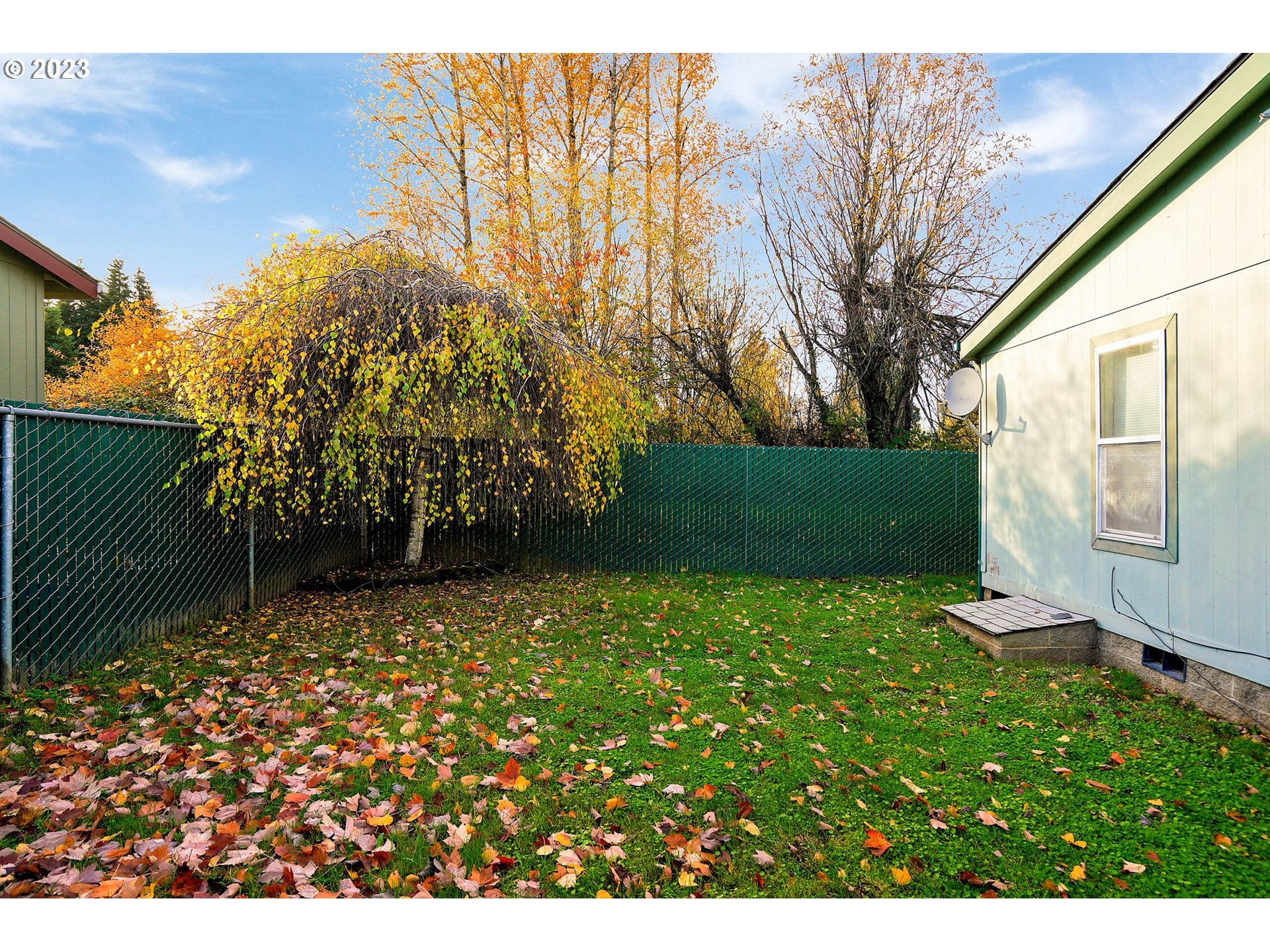 1015 Oak Street, Unit 100 Silverton, OR 97381 - Photo 28 of 30 a view of backyard with plants and trees