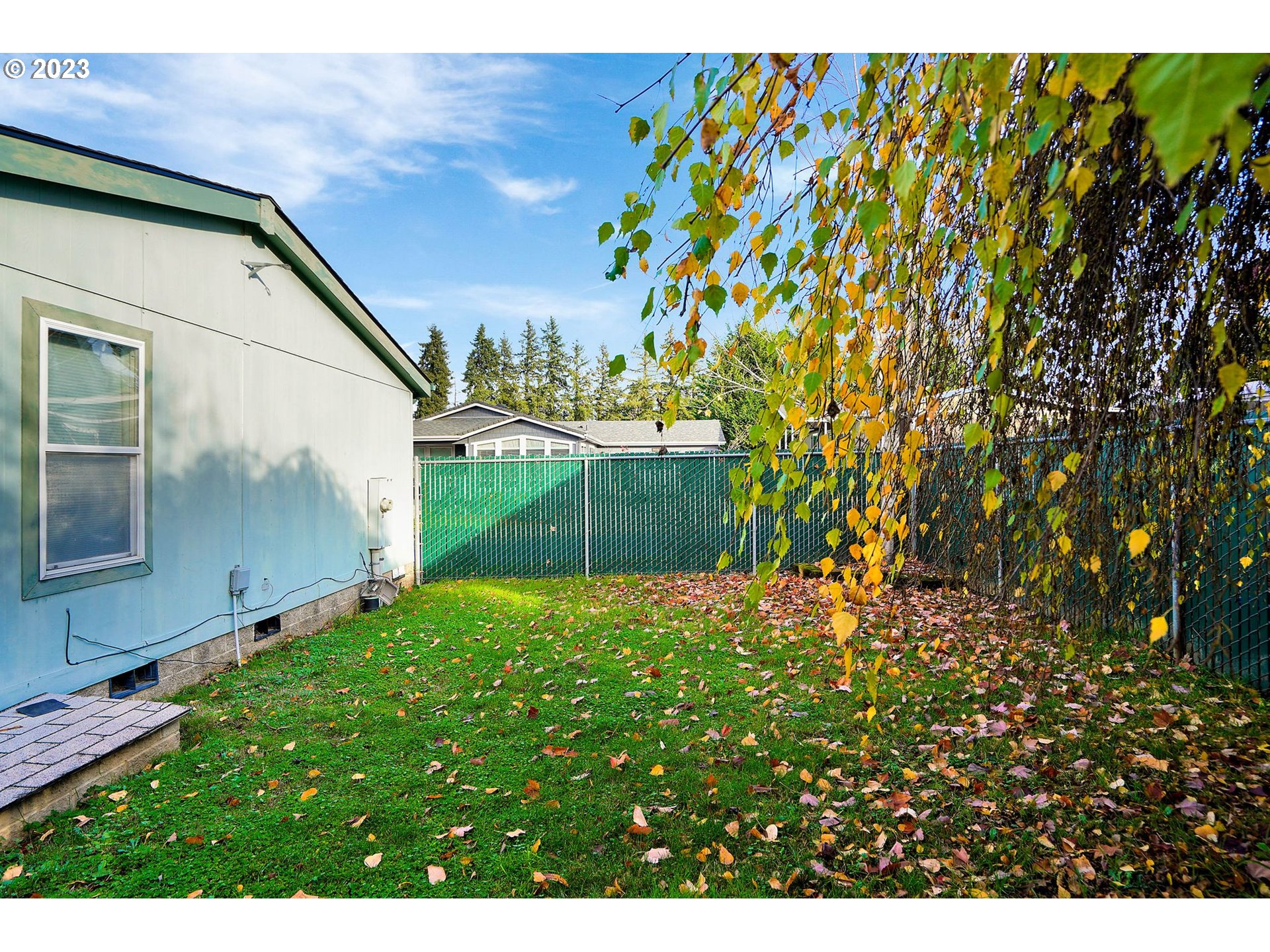 1015 Oak Street, Unit 100 Silverton, OR 97381 - Photo 30 of 30 a backyard of a house with lots of green space