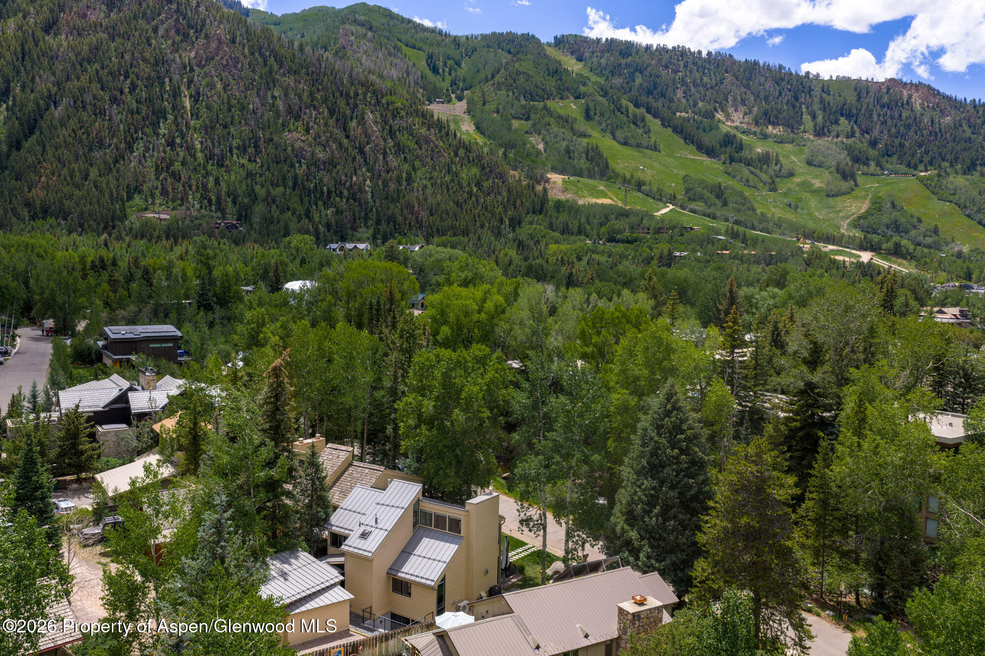 314 North Riverside Avenue, Unit 2 Aspen, CO 81611 - Photo 30 of 32 Views of Aspen