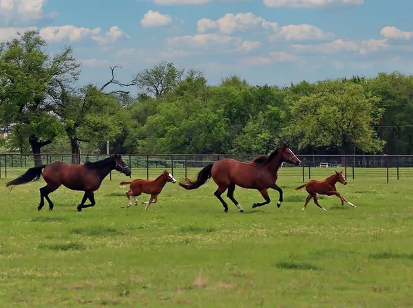 a view of a bench in garden