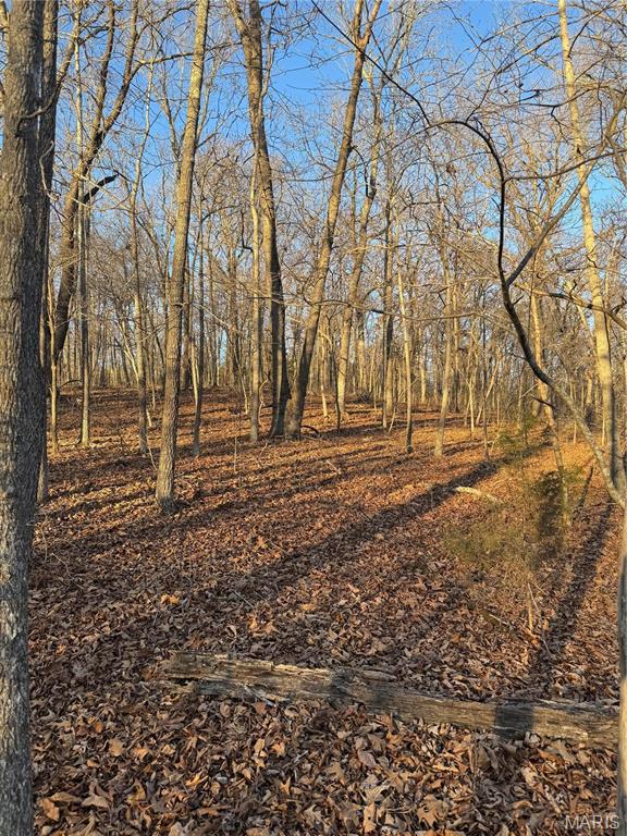 0 Texas Road St. Robert, MO 65584 - Photo 3 of 6