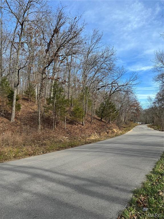 0 Texas Road St. Robert, MO 65584 - Photo 4 of 6