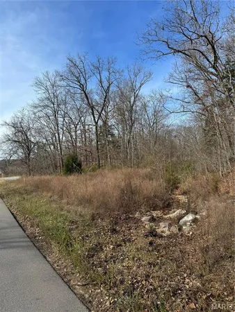 $32,000 | 0 Texas Road, St. Robert, MO 65584