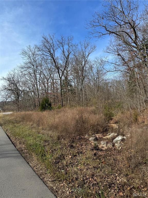 0 Texas Road St. Robert, MO 65584 - Photo 6 of 6