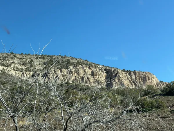 a view of a mountain